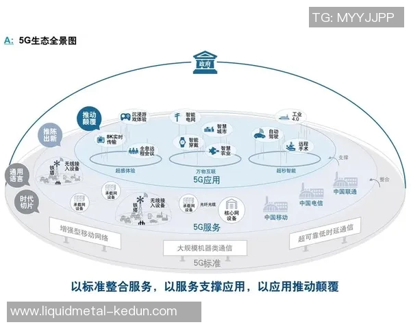 深圳排球队总决赛技术分析与表现评估全景解读