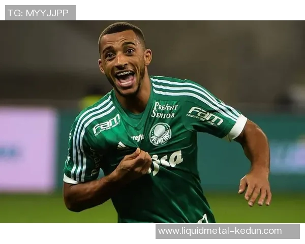 瑞典足球明星的名字及其在国际赛场上的辉煌成就揭秘