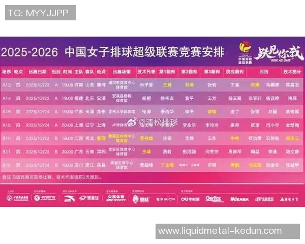 权威发布：全面解析排球比赛经验与实力的综合排行榜